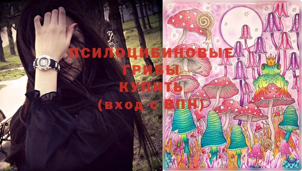 ALPHA-PVP Нягань