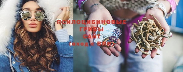 спайс Осташков