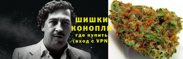 спайс Осташков