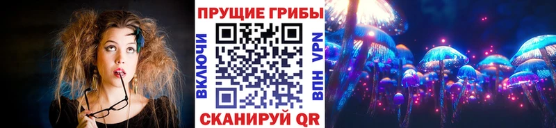Галлюциногенные грибы Cubensis  Зеленогорск 