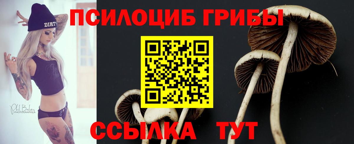 Галлюциногенные грибы Magic Shrooms Зеленогорск