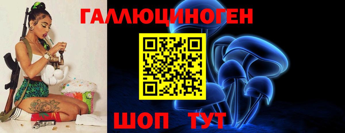 Зеленогорск  Псилоцибиновые грибы GOLDEN TEACHER  Галлюциногенные грибы мухоморы  Вход с VPN 
